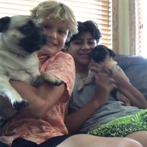 Meet your Posher, Tj